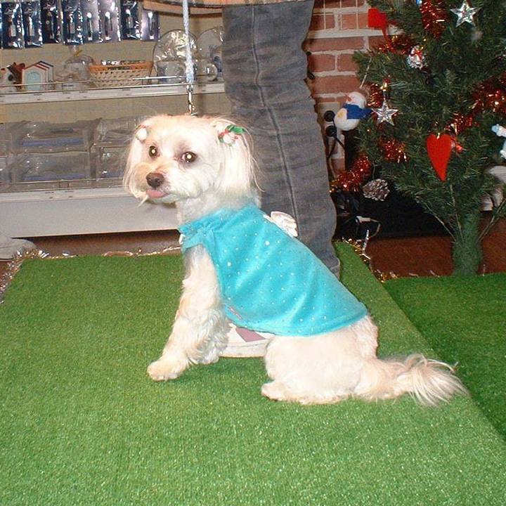 39d32fcd 4a0c 4bc7 9735 93d45858651e 1528641710297