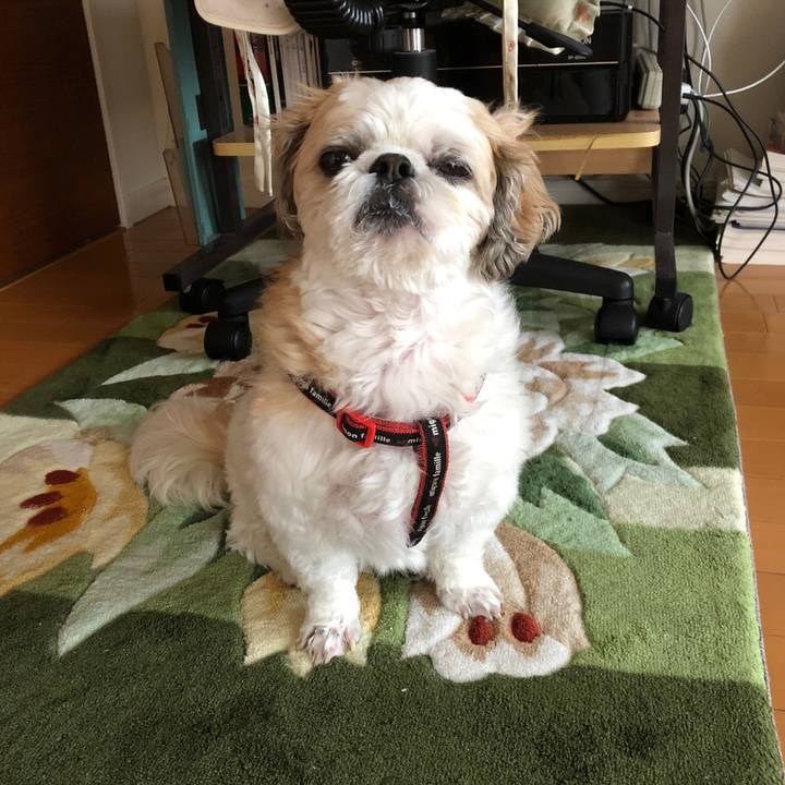 39d3481a cede 43a6 adf1 c8bdf93e34b9 1574373105239