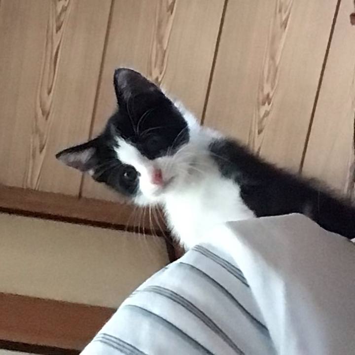 39d354ca e3e3 4ad4 af9e 88759dd49c6f 1624254600434