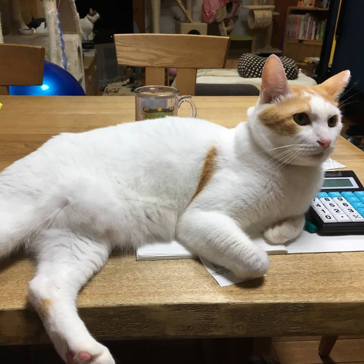 39d3d310 9bb4 4aa9 a162 87b5502b08ba 1508672584888