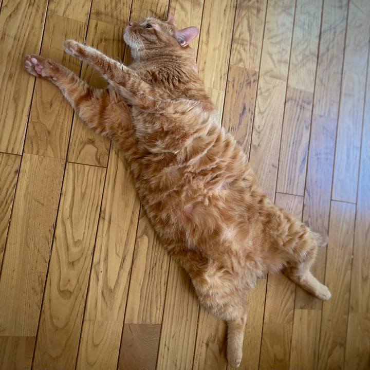 39d3df7a 62d4 45c3 98c9 40a8810a80c9 1692505072857