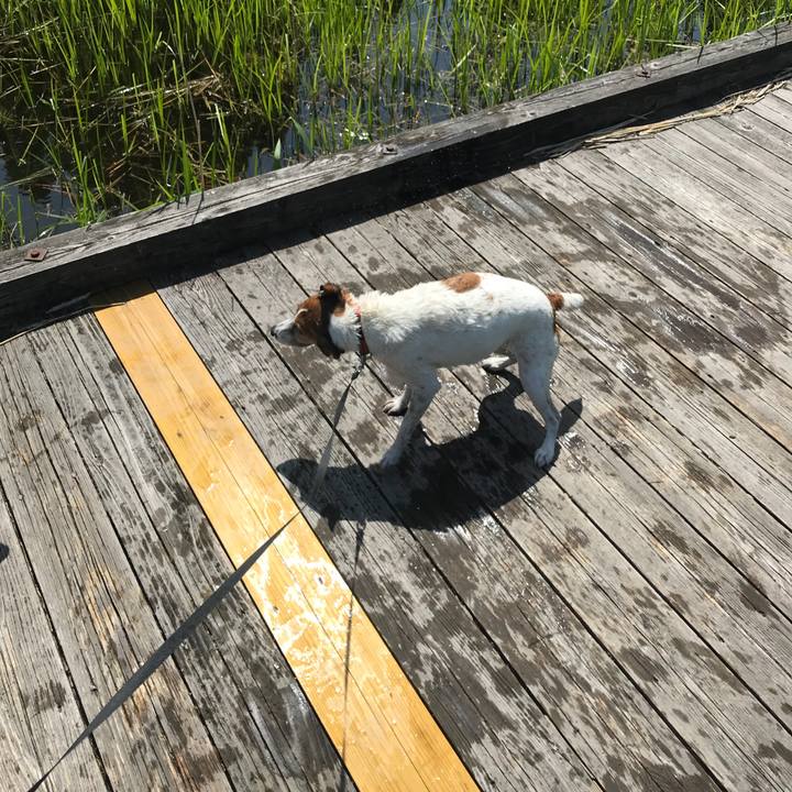 39d42378 8cd5 461c 8c4d c9df80789df2 1525514550630