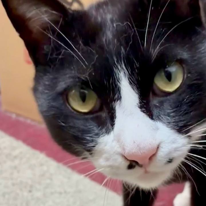 39d4c313 d2c6 42ba 8b5c f22dbf31f3ee 1746410713695