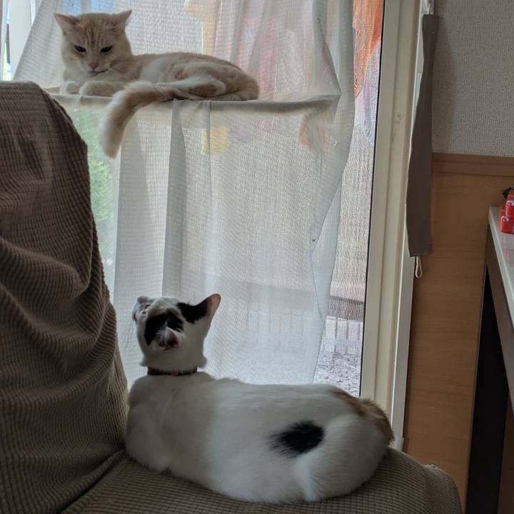 39d4e1a5 c7a4 4b10 99fb 85daeedd9c06 1722136592805