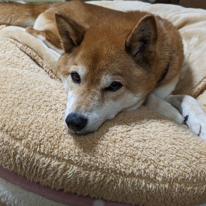 39d4f0e2 ae19 40a1 b8d3 c1aec9c60107 1716202750257