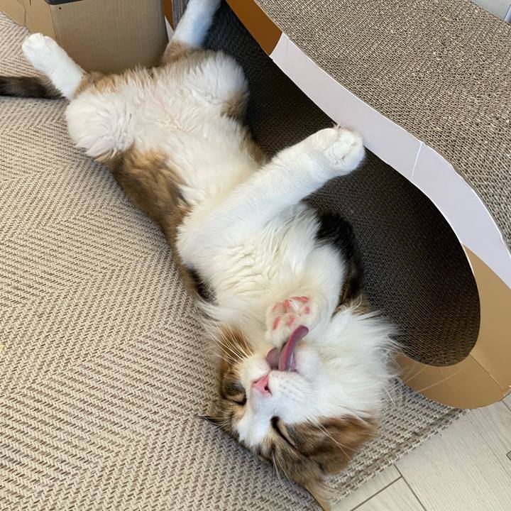 39d50db7 07dc 4caf b011 9c8048084dbe 1662501135891