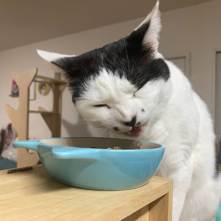 39d50ede fe01 4704 b3de 2a333c7ee38c 1772226940621