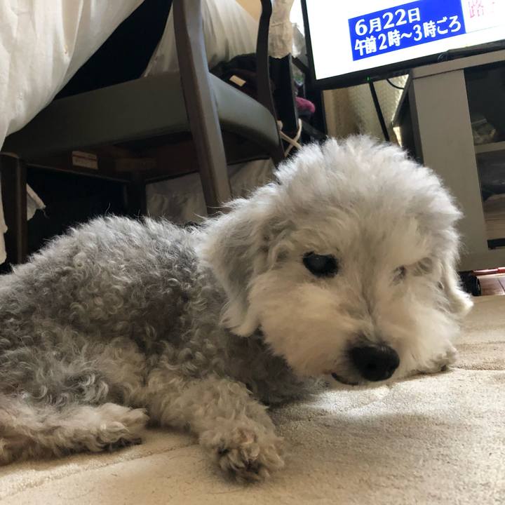 39d52abb 87d7 49e1 947d 36b8c96db86f 1656028096696