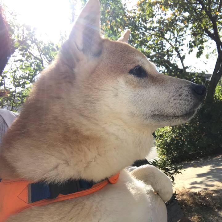 39d538ba 6f3c 462f 9dc9 42791f39e9ba 1542625766019