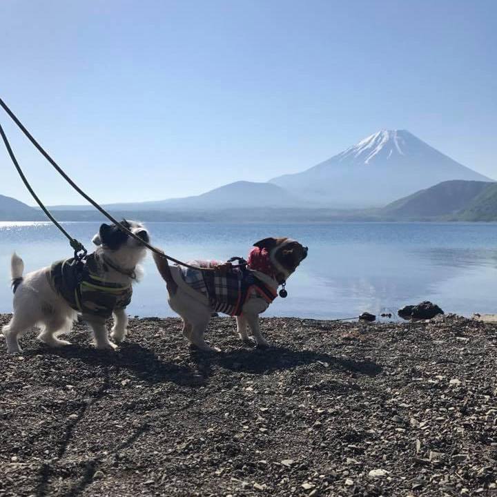 39d55224 5d73 4ffa 8940 f06eec6ab9d7 1653094226143