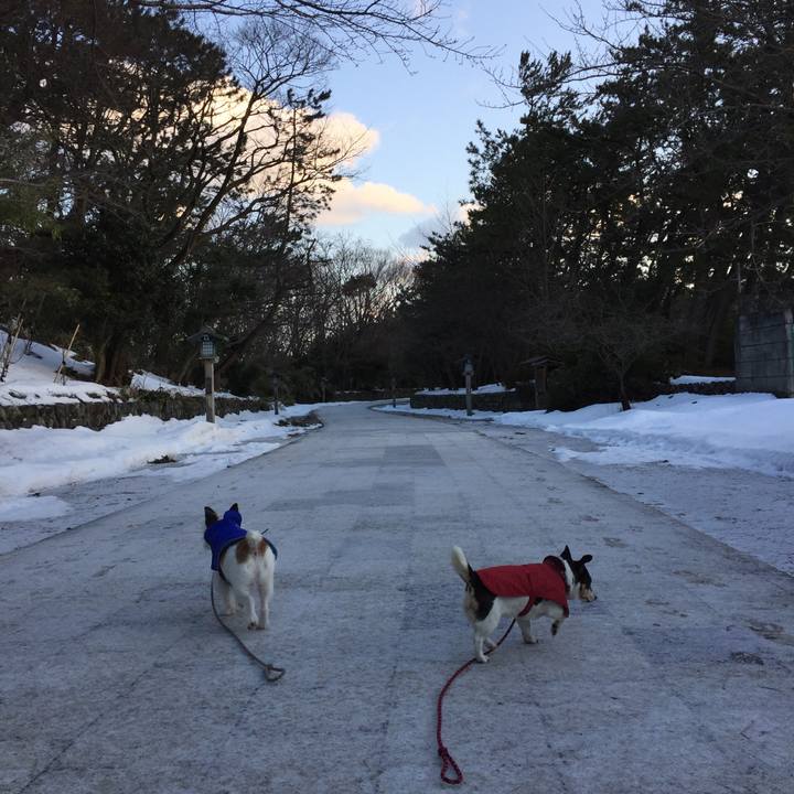 39d55ed1 12e0 4404 9dad 14ee5048eb01 1519090666775