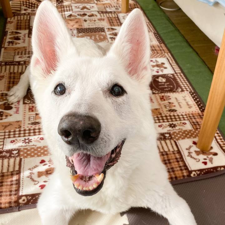 39d571b5 b396 48c3 af0a 2375cfe087e1 1663980353171