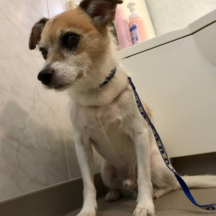 39d5834c c4f5 43e2 9bf6 d0d429d004d7 1599696024018