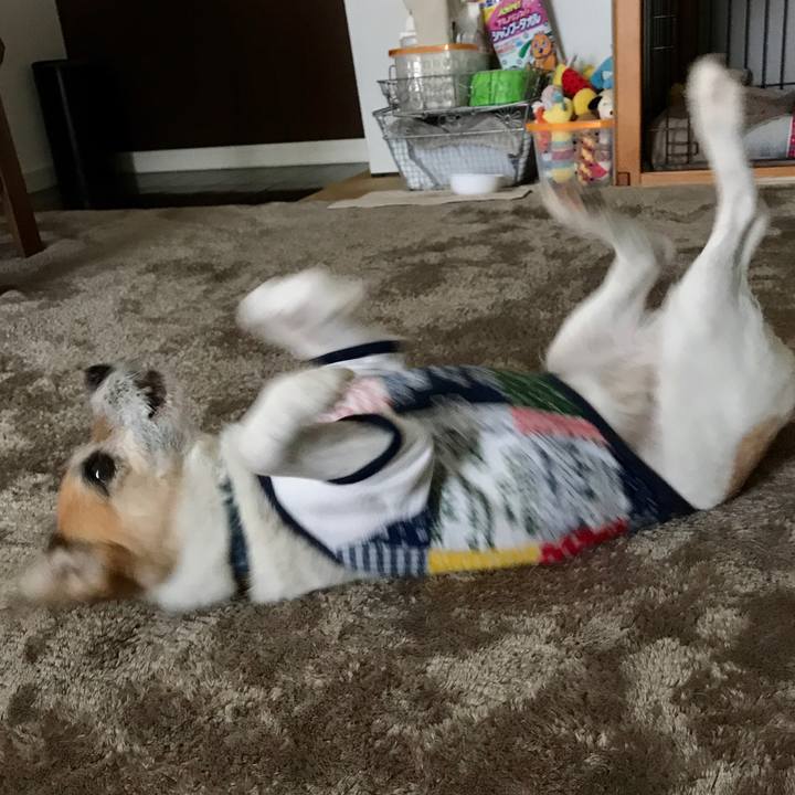 39d58745 ff38 491b b058 2b3273701584 1591162412672