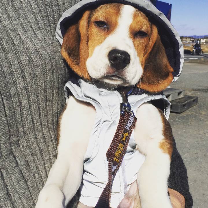 39d58a9b 2c78 4a82 889a dbd0b2a8c0b1 1514985903334