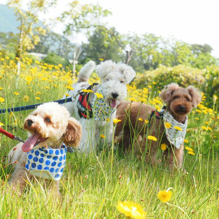 39d5a036 ddd3 49a1 8ad1 a44ecc7873f1 1526906431323