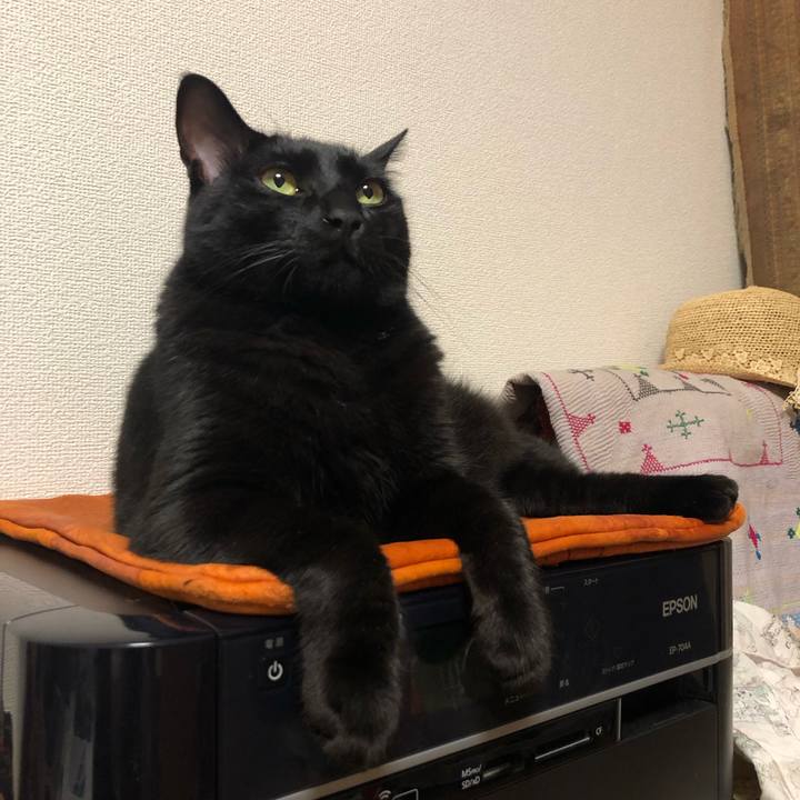 39d5e48a eeb5 4eb4 8d11 425f4d42d865 1562330992307