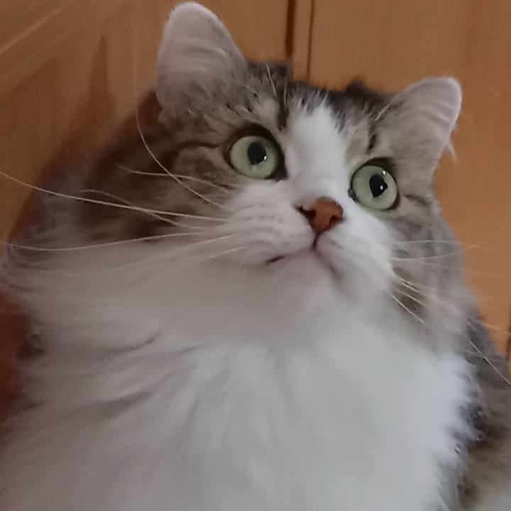 39d5e644 dd62 4fd9 9243 7ea7d50f18e7 1633175825901