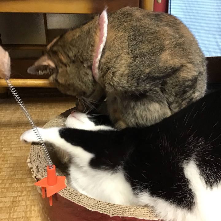 39d5eda4 d88d 425f bd9d 82043f436931 1690631342296