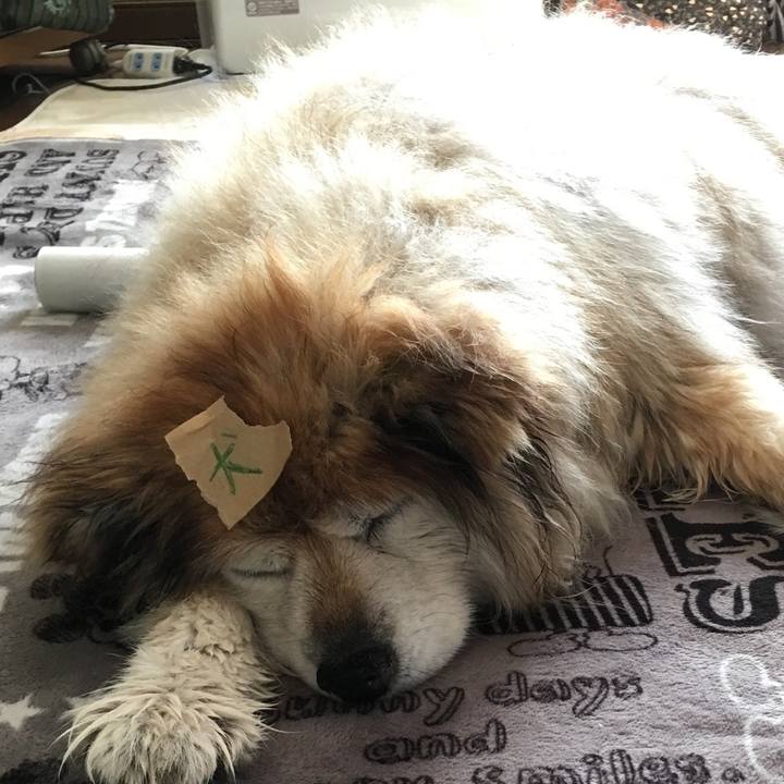 39d5fd2b 390a 44ff 87c8 5682f5e336d1 1616645870945