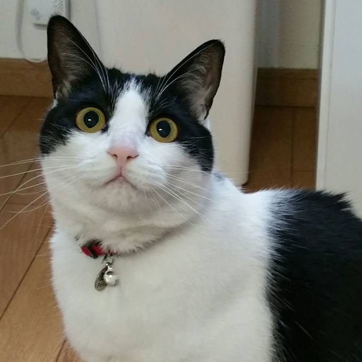 39d603d5 ec7f 4a57 b068 7c423bfdea80 1522795900176