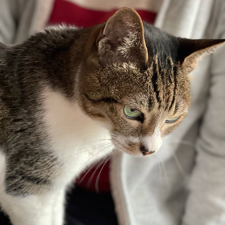 39d614b6 aee9 457a ac28 b009a1d2164d 1611280195657