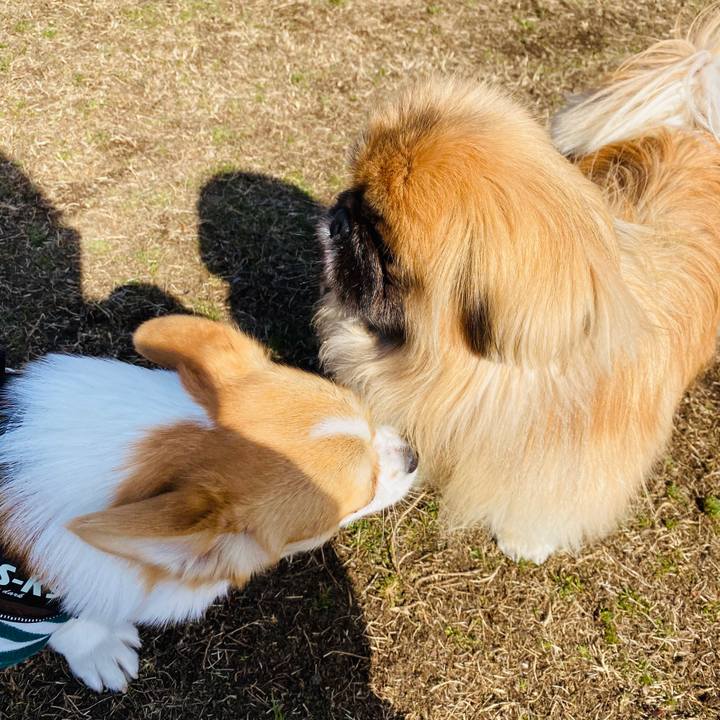 39d62a22 3a0f 42f6 aa19 a7a0def7cd38 1581154849154