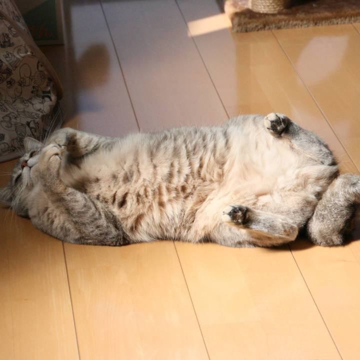 39d63cb9 636d 4d75 bed4 b764204d56fa 1540448993197