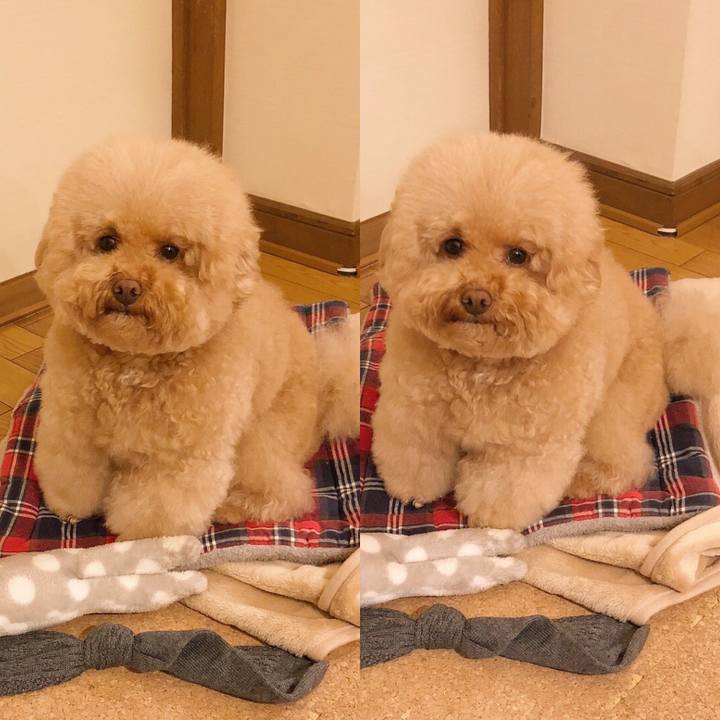 39d67e70 5266 4648 936a 268c420983a0 1511995502251