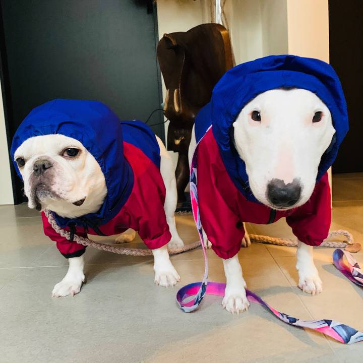 39d6826a 776a 4dea 80a5 55fd665da8c8 1602473968351