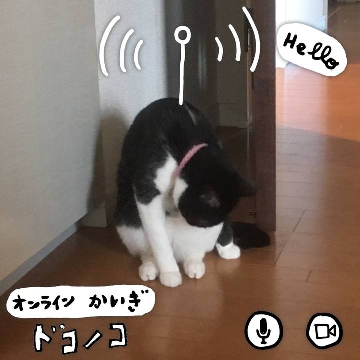 39d6beeb d4f6 4f55 899f 7b6ba34fcd12 1590840275886