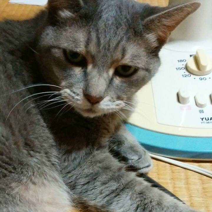 39d6c652 ec66 47d0 9d82 78c635518d21 1564512770408