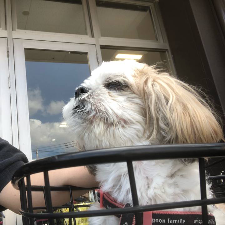 39d6d36c 65ad 4774 918b 562dca0022c8 1633556740521