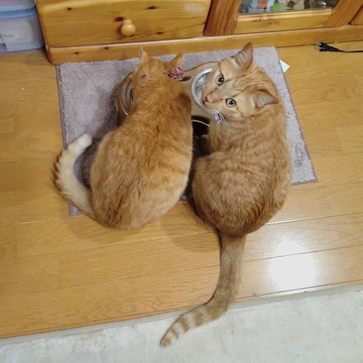 39d6e109 782b 49b2 9c59 634dd490a340 1647043052837