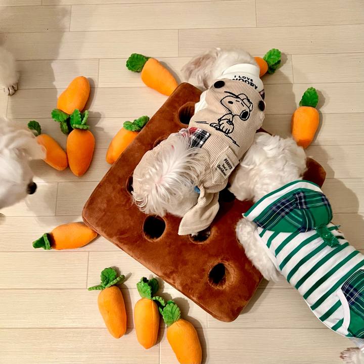 39d707c7 0ffb 419f b147 a44c7e85b62e 1650269198446