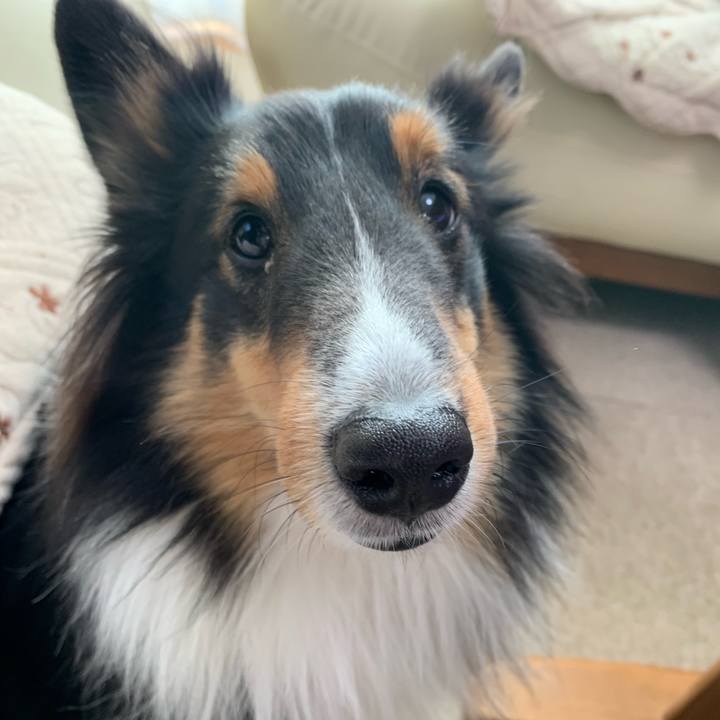 39d7218d 0bbe 4fa2 b409 7dbb40fcec74 1573949858114