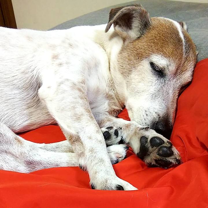 39d72b30 a3ae 40b1 a63a f658cb6c77e4 1550243360715