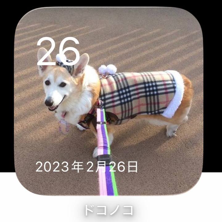 39d757a0 adcc 46fd 93fe fea4cc86ffef 1772090237145