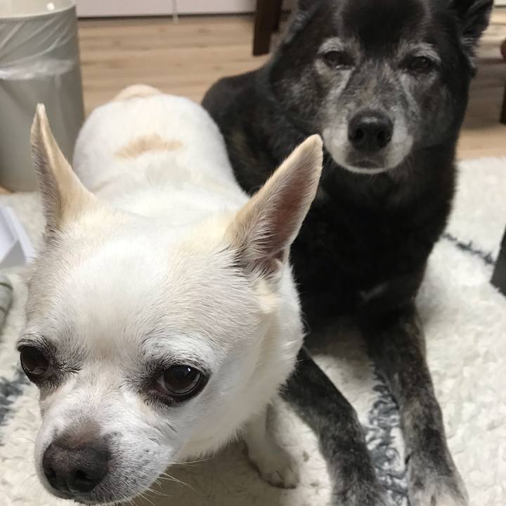 39d79225 364f 4027 908e d15bb67c4dc3 1592399076274