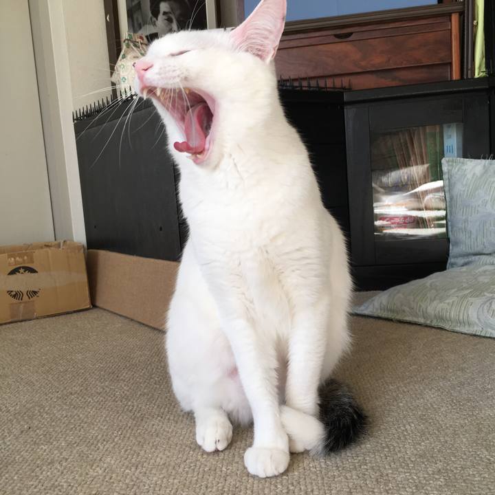 39d79dfb 1e75 4a0d 8b62 b39910a79bc1 1547634917574