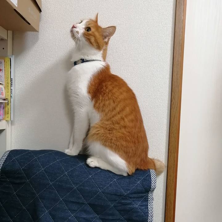 39d79f73 d752 4a42 a8e8 1950f8a7a724 1607945874607