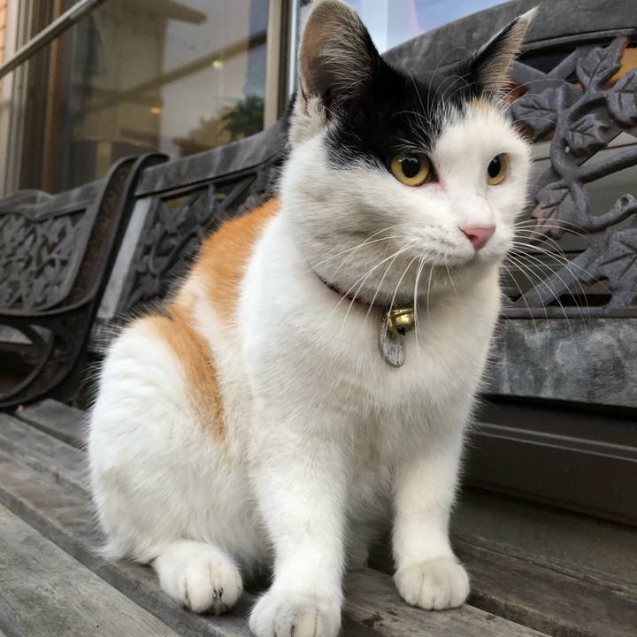 39d7a6b5 63ba 4d1a bb8b 8d9beeb956cb 1610749690357