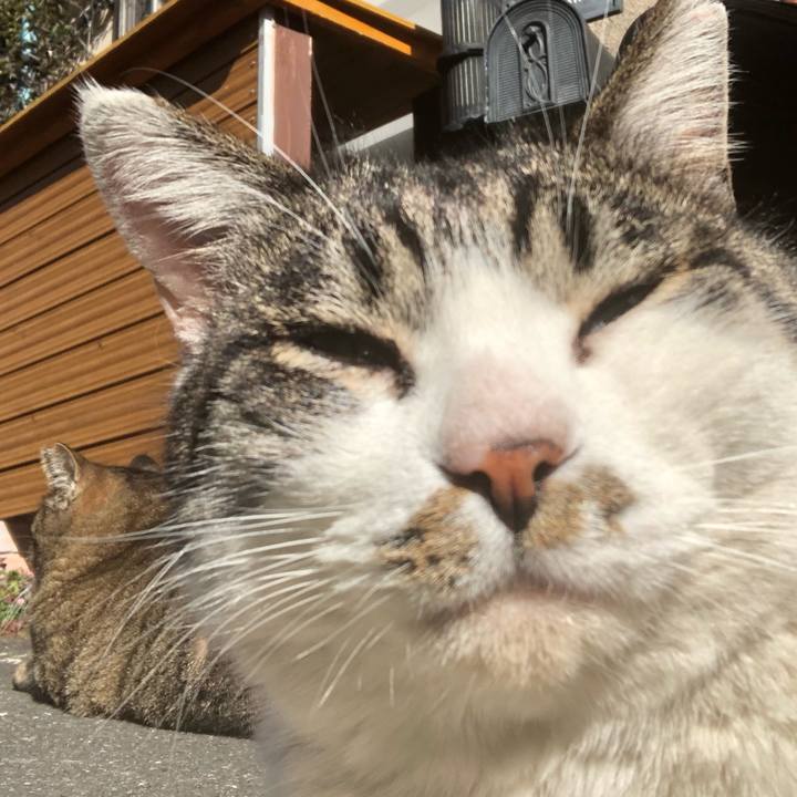 39d7c15d 42ed 4e63 80c0 e6ac53571087 1579696678244