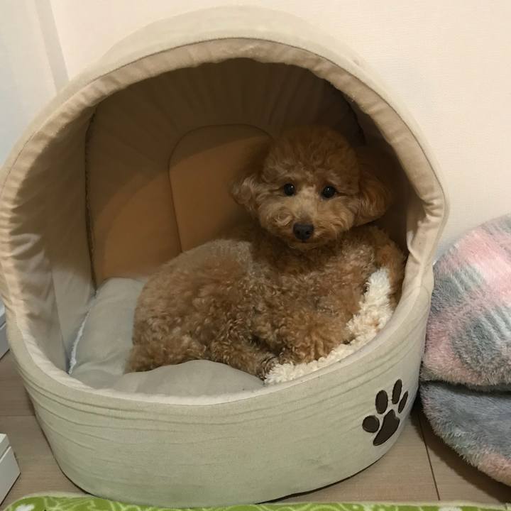 39d7e1d0 df43 4e7f b24c 55c2798a82fa 1515407665304