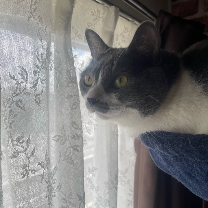 39d816e3 d2b2 4a27 8bb5 314f69492068 1691201508513