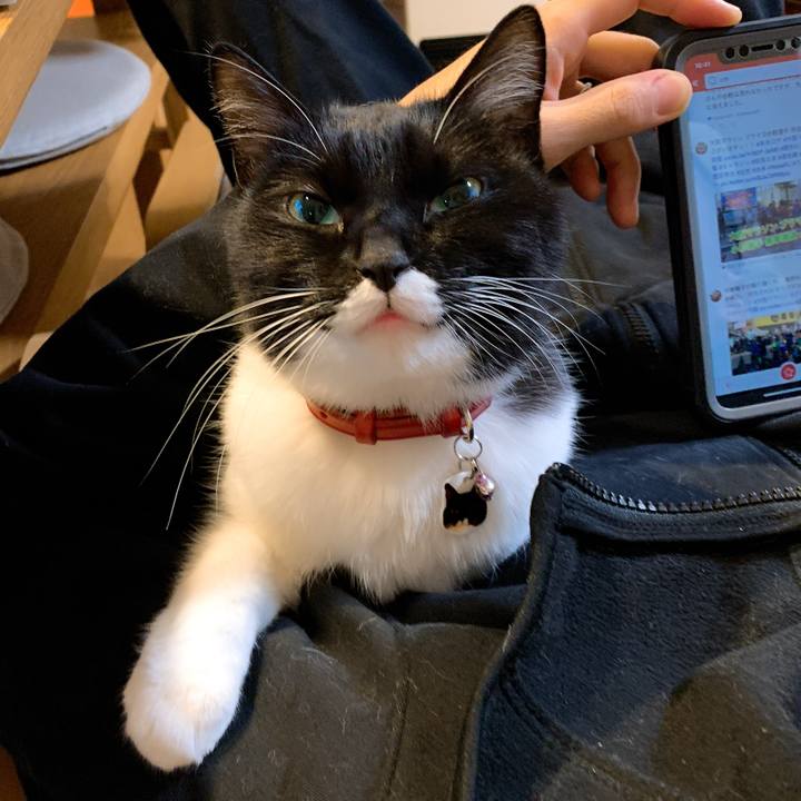 39d8212e 3c48 430e 9d1e 2f2bf3d33d1d 1575186359470