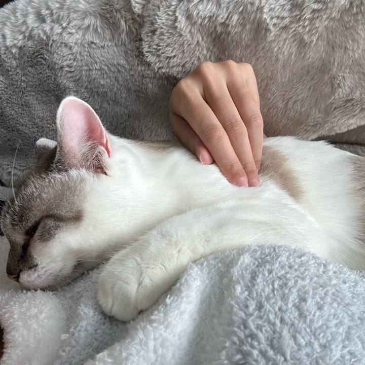 39d86619 9aa7 4362 baff 6bb339eaf3b3 1702598323588