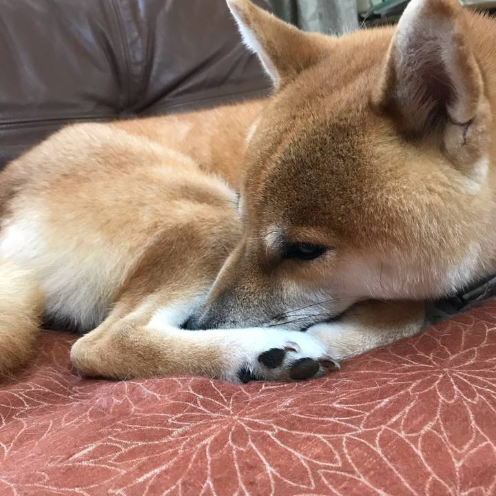 39d86b39 2223 4223 b55f 4b480d6a693f 1570230972196