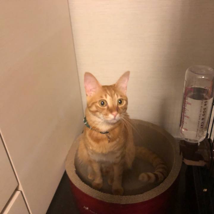 39d86f3a 4879 4516 a5b6 c42ad4bafeff 1633641739042