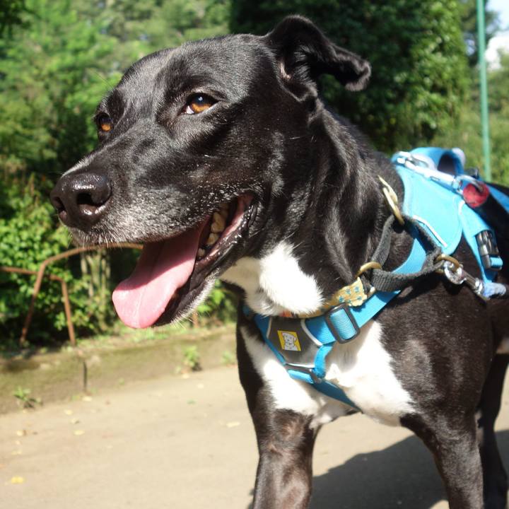 39d89a02 c8d7 4caa bb31 738907df83ea 1623370764685